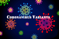  Coronavirus 