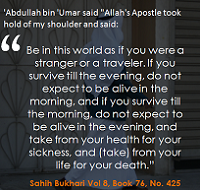  Sahih Bukhari Vol 8 Book 76 No 425 