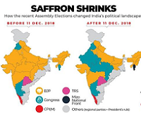  Saffron Shrinks 