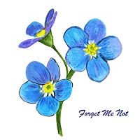  Forget me not 
