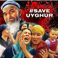  Uyghur 