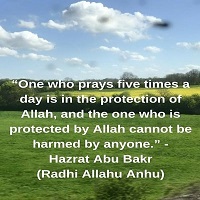  NewTrendMag.org NewTrendMag.us NewTrend.org/ntma2111.htm ntma2111-02.jpg 400w x 492h 